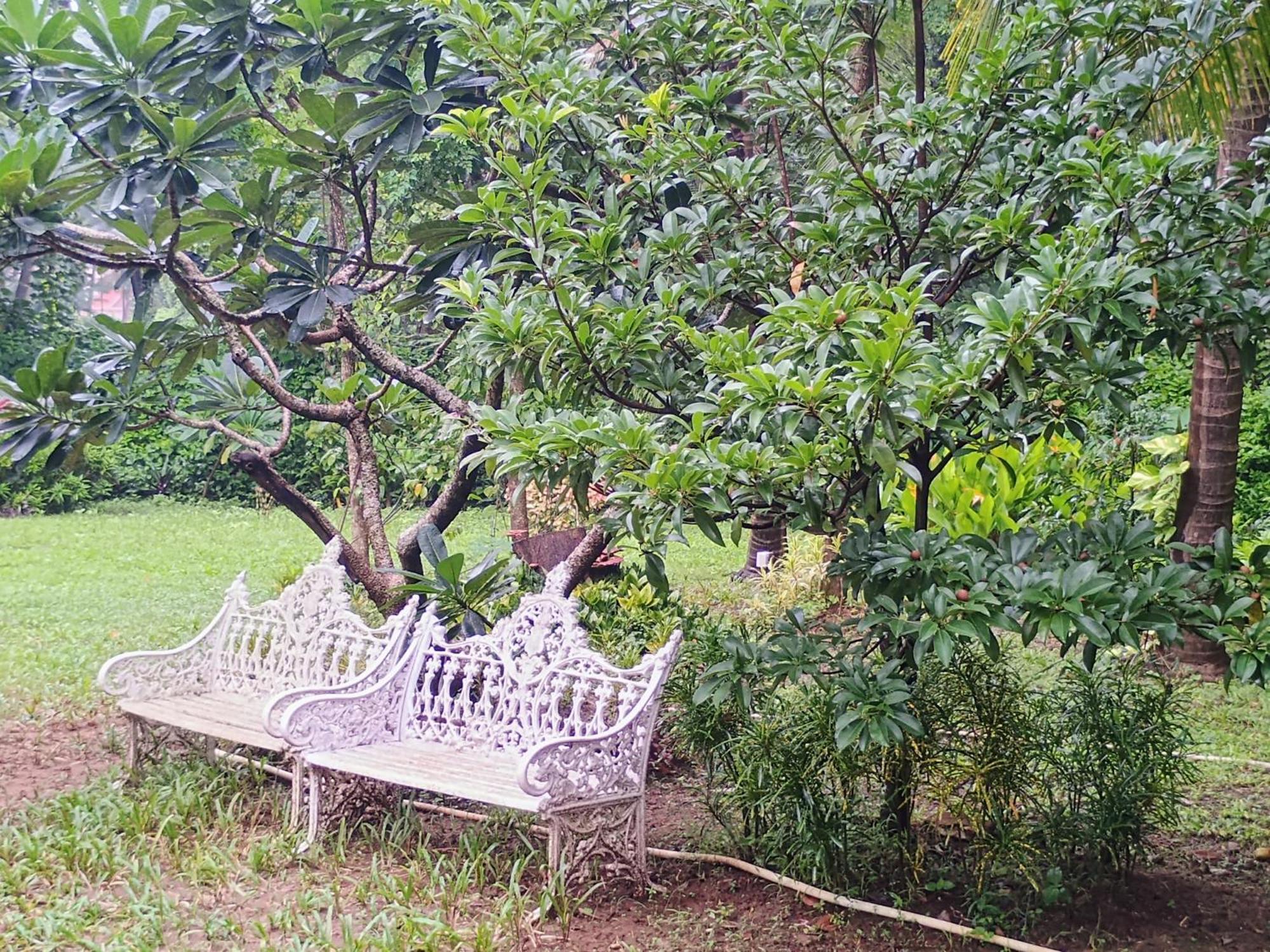 Banyan House - Luxurious 4 Bedroom Villa On One Acre, Near The Beach Nagaon  Exterior foto
